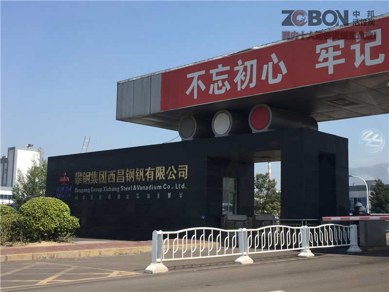 攀鋼廢氣廢水處理-案例